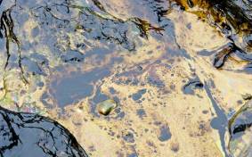 Why-is-oil-a-nonrenewable-resource